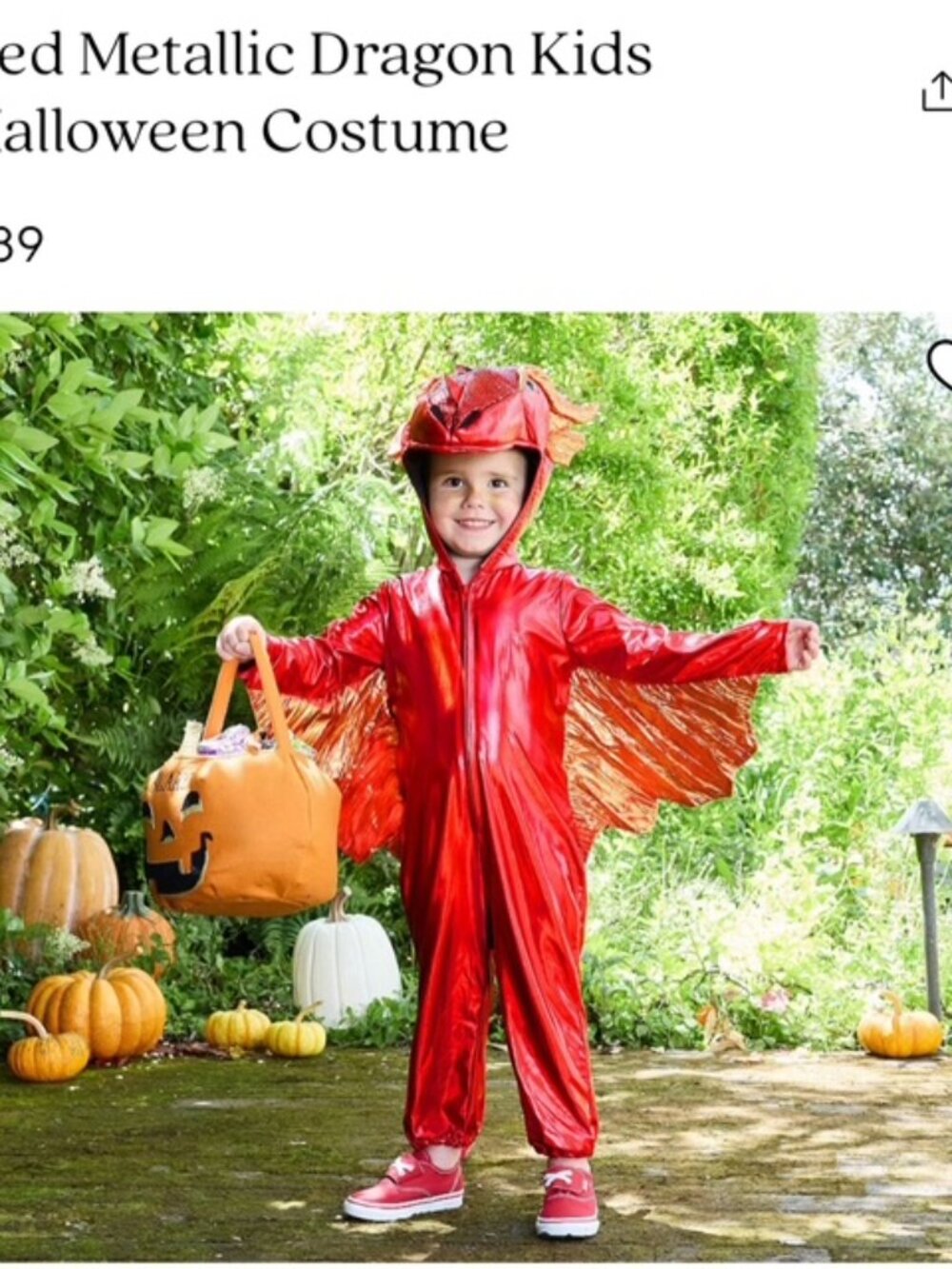 Red Metallic Dragon Kids Halloween Costume: Pottery Barn